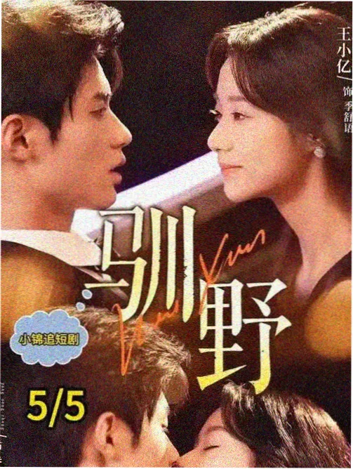 机智医生生活 韩剧在线观看